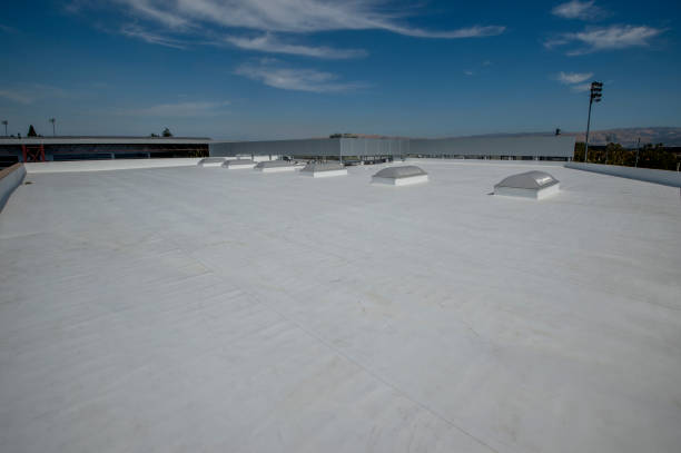 Best Roof Waterproofing  in Holdenville, OK